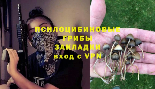 прущая мука Мегион
