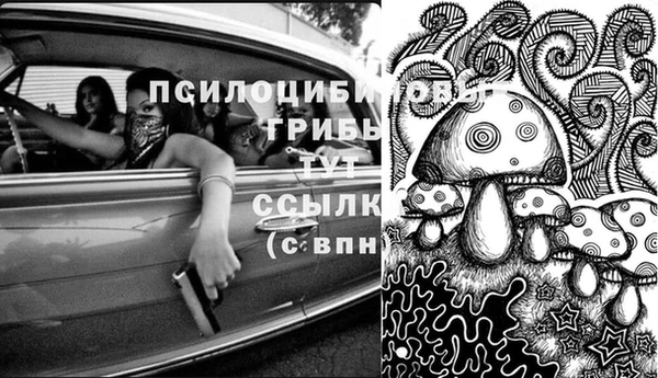 прущая мука Мегион
