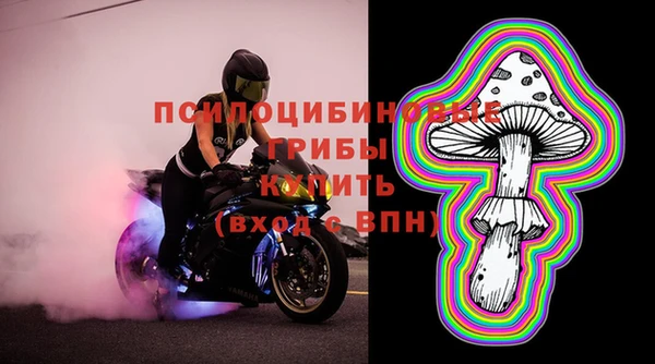 трава Медногорск