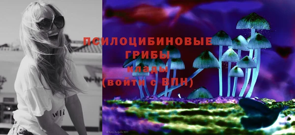 трава Медногорск