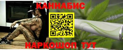 Альфа ПВП Гатчина