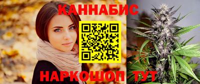 Альфа ПВП Гатчина