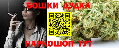 Альфа ПВП Гатчина