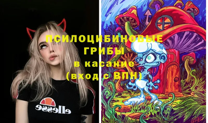 Псилоцибиновые грибы MAGIC MUSHROOMS  Заринск 