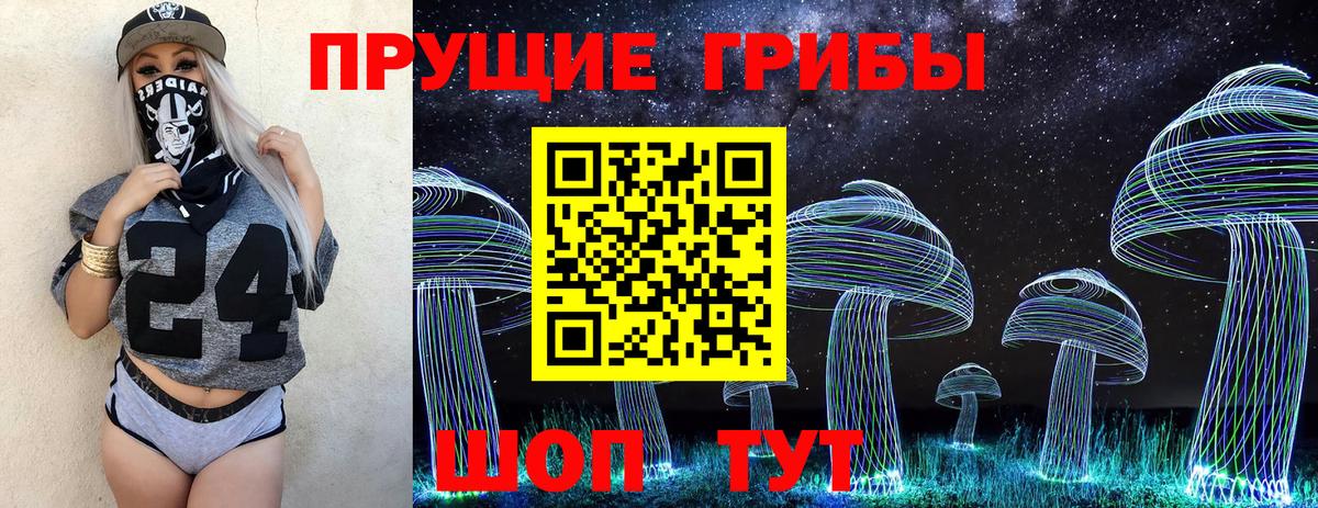 Галлюциногенные грибы Cubensis Заринск