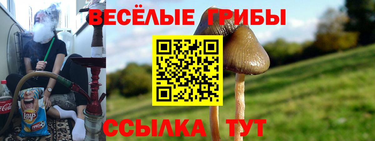 Галлюциногенные грибы ЛСД Заринск