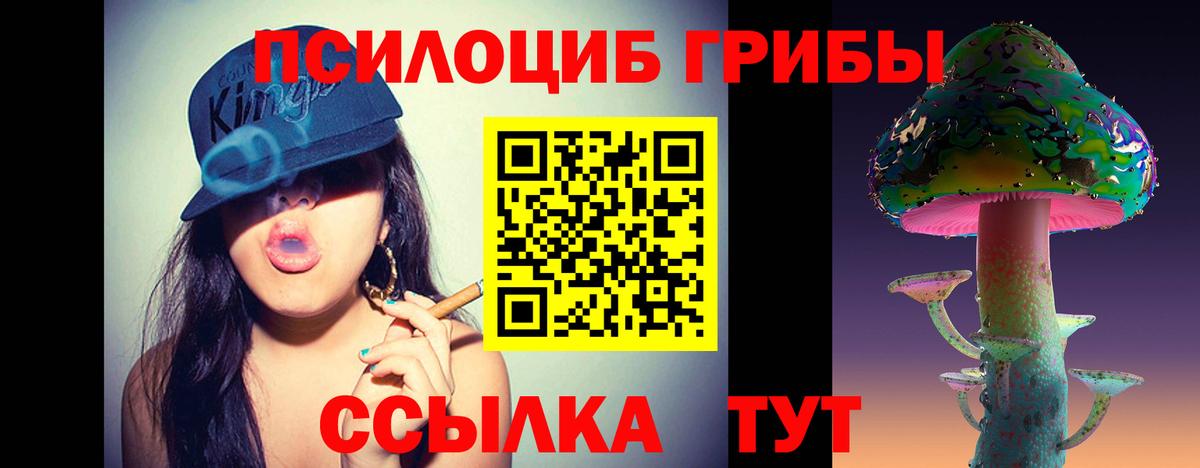 что такое наркотик  Заринск  Псилоцибиновые грибы мухоморы 