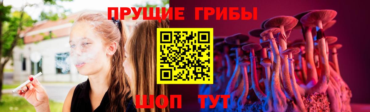 Заринск  Галлюциногенные грибы Cubensis  Вход с VPN 